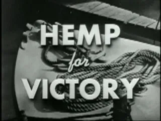 A still from the 1942 USDA film “Hemp for Victory” showing a field of hemp.