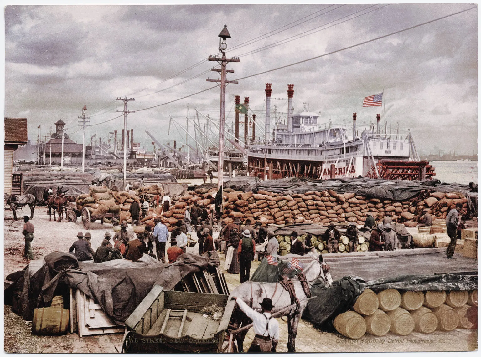 Steamboats, stacked cargo, and stevedores crowd the levee at Canal Street, New Orleans, around 1900.